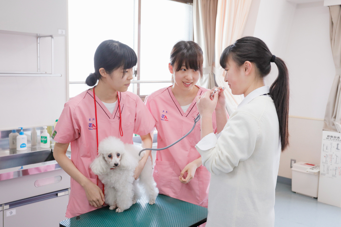 お知らせ 東京愛犬専門学校